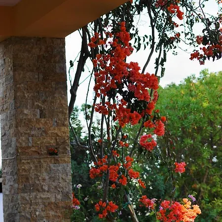 The Blue Leaf Family Villa Gennadi