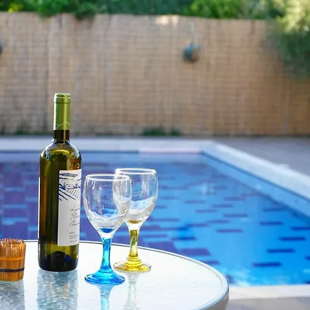 The Blue Leaf Family Villa