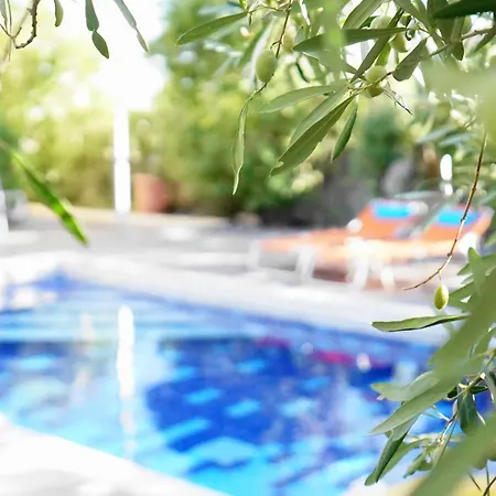 Villa The Blue Leaf Family *