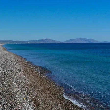 The Blue Leaf Family Gennadi