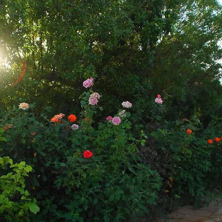 The Blue Leaf Family Villa Gennadi