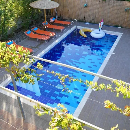 The Blue Leaf Family *