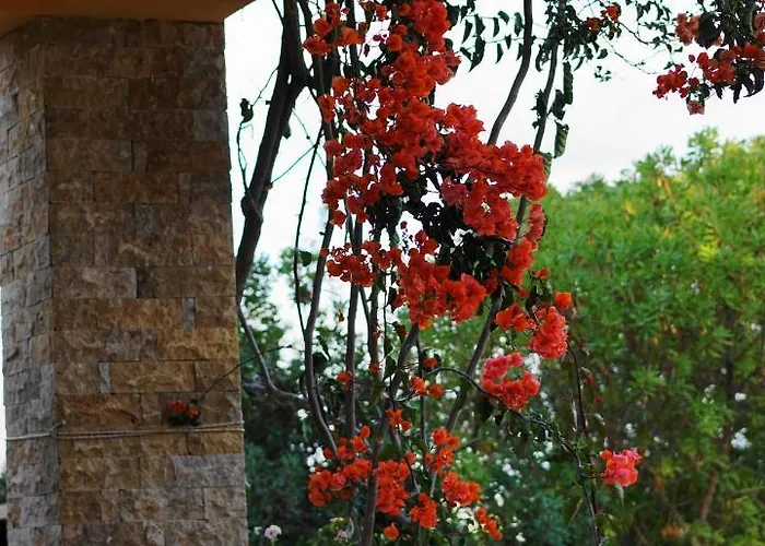 The Blue Leaf Family Villa Gennadi