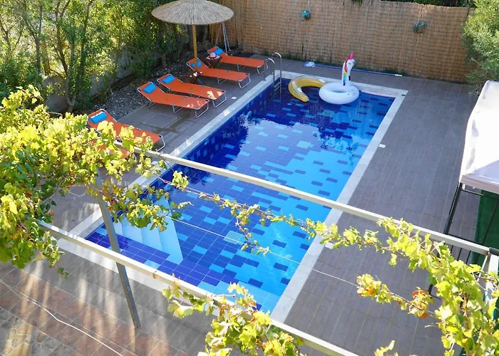 The Blue Leaf Family *