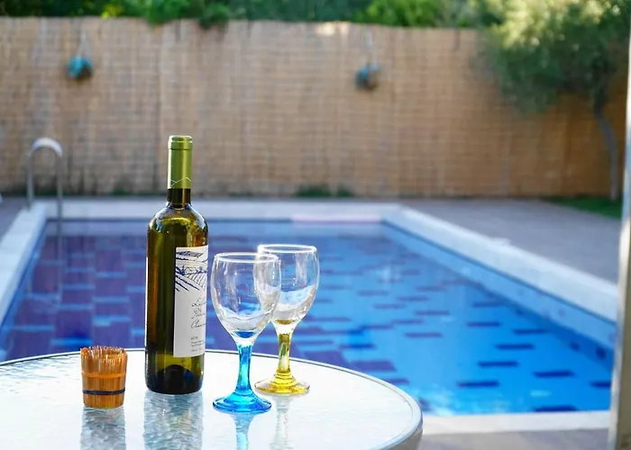 The Blue Leaf Family Villa