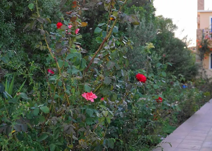 The Blue Leaf Family Villa